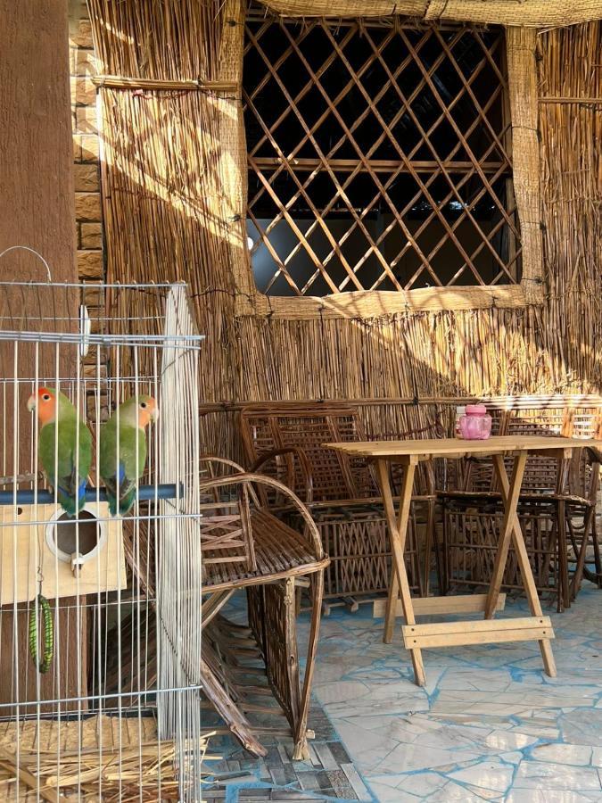 Oasis Camp Hotel Bawati Eksteriør billede