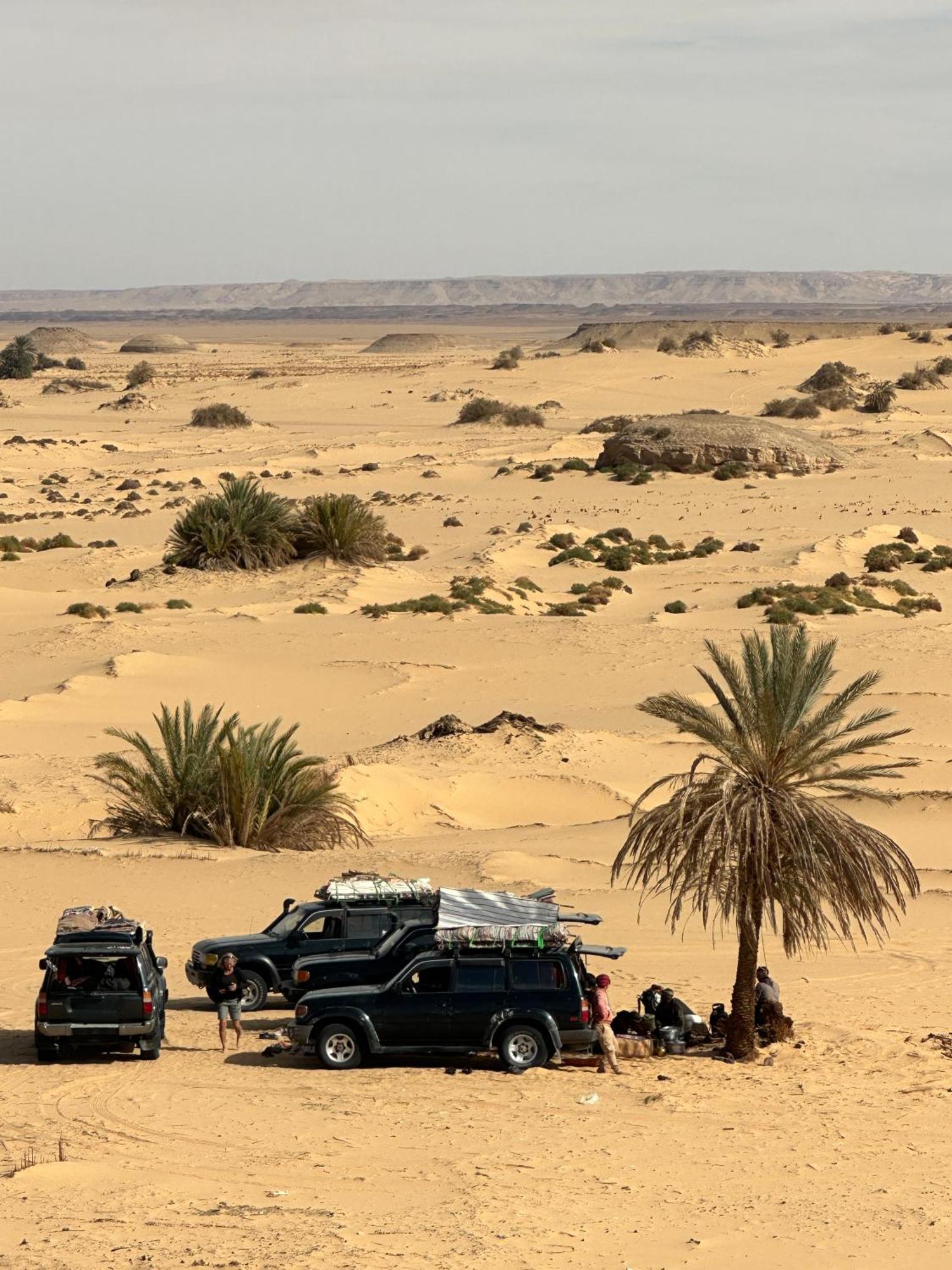 Oasis Camp Hotel Bawati Eksteriør billede